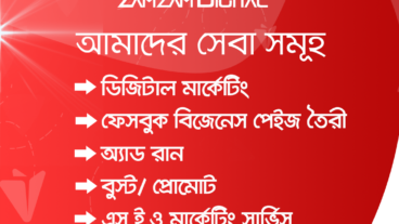 Which Services We Provide