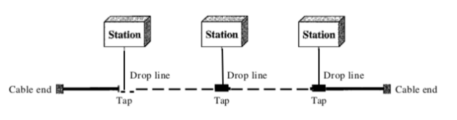বাস টপোলজি