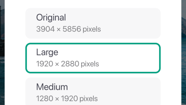 copyright free image