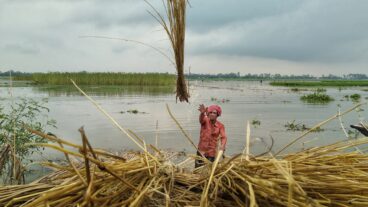 স্মার্টফোন ফটোগ্রাফির জন্য ১০ টি অসাধারণ টিপস