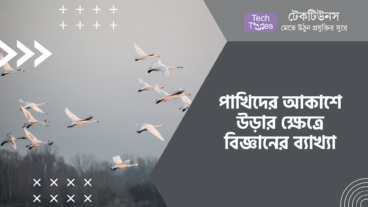 পাখিদের আকাশে উড়ার ক্ষেত্রে বিজ্ঞানের ব্যাখ্যা