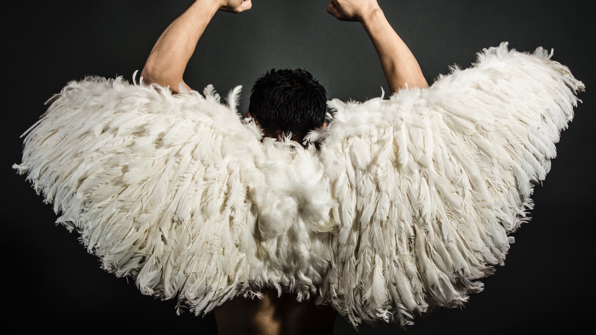 তাহলে আপনার ডানা থাকলেই কি আপনি উড়তে পারবেন