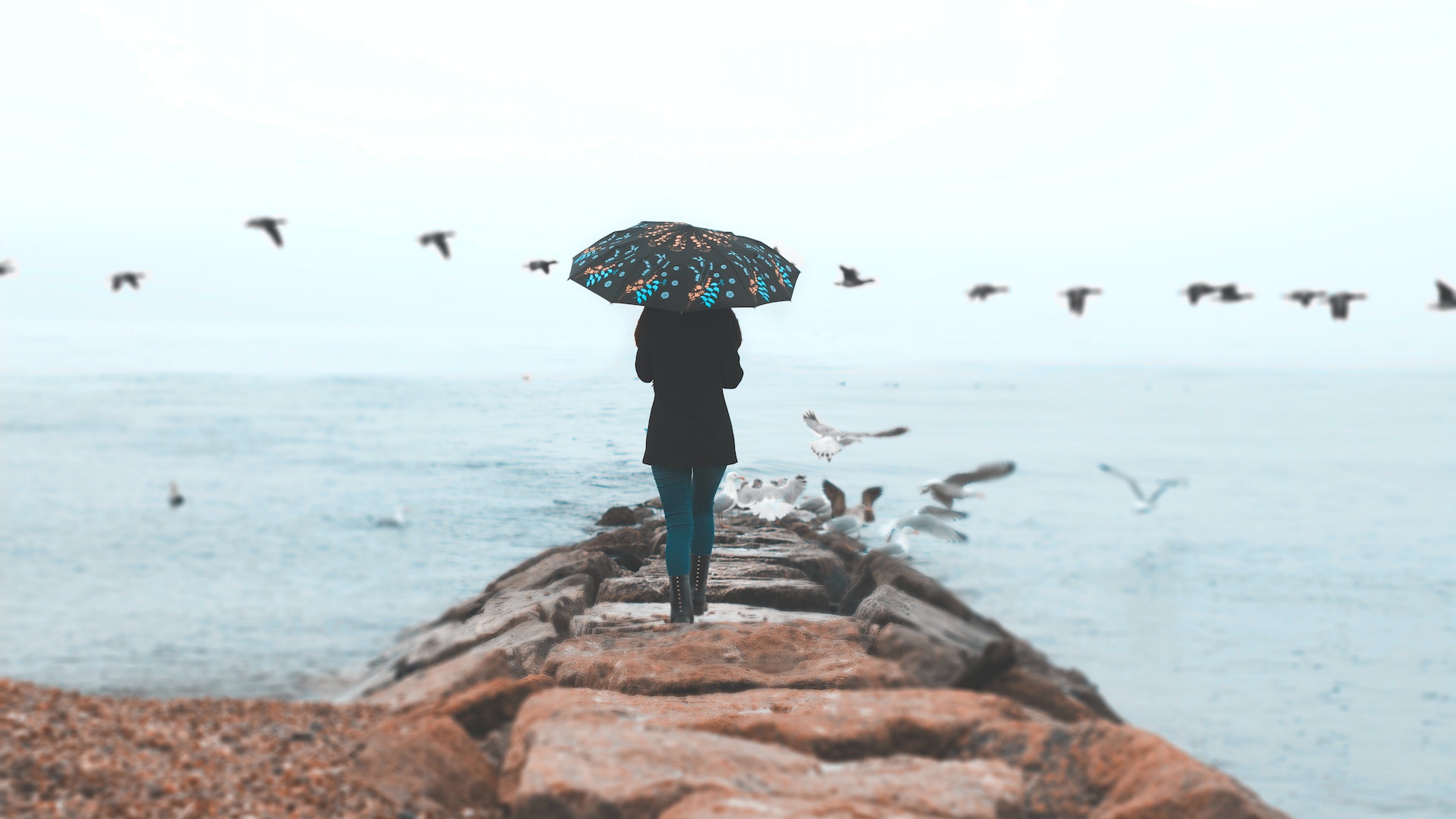 হঠাৎ পাখি উপরে উঠবে কি করে