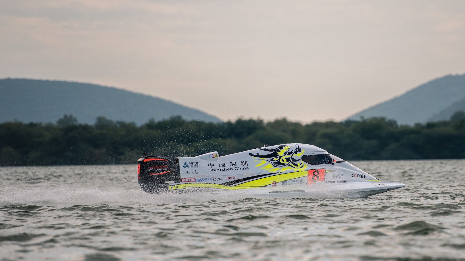 প্লবতা কি