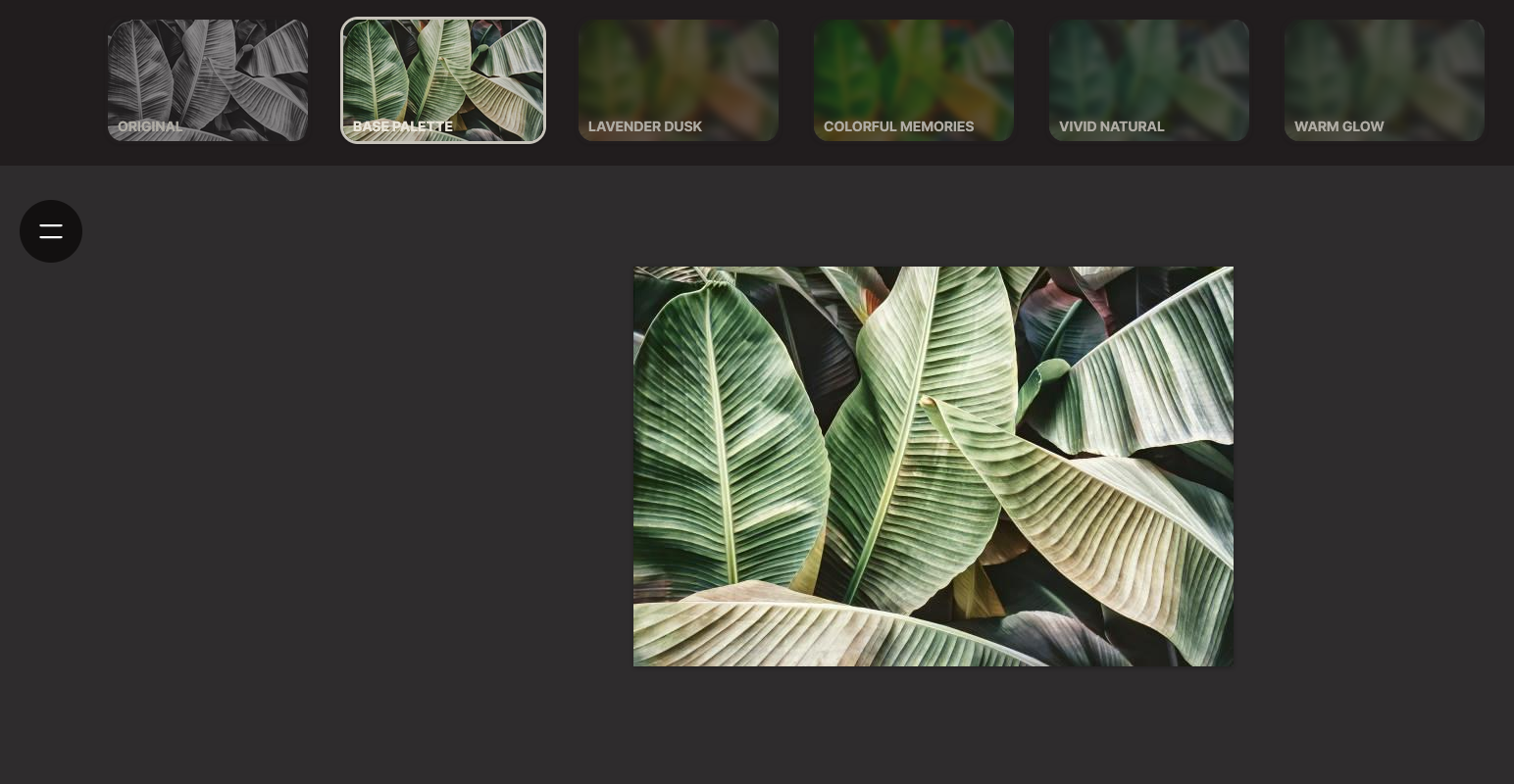 Palette - Black and white picture make Colorful