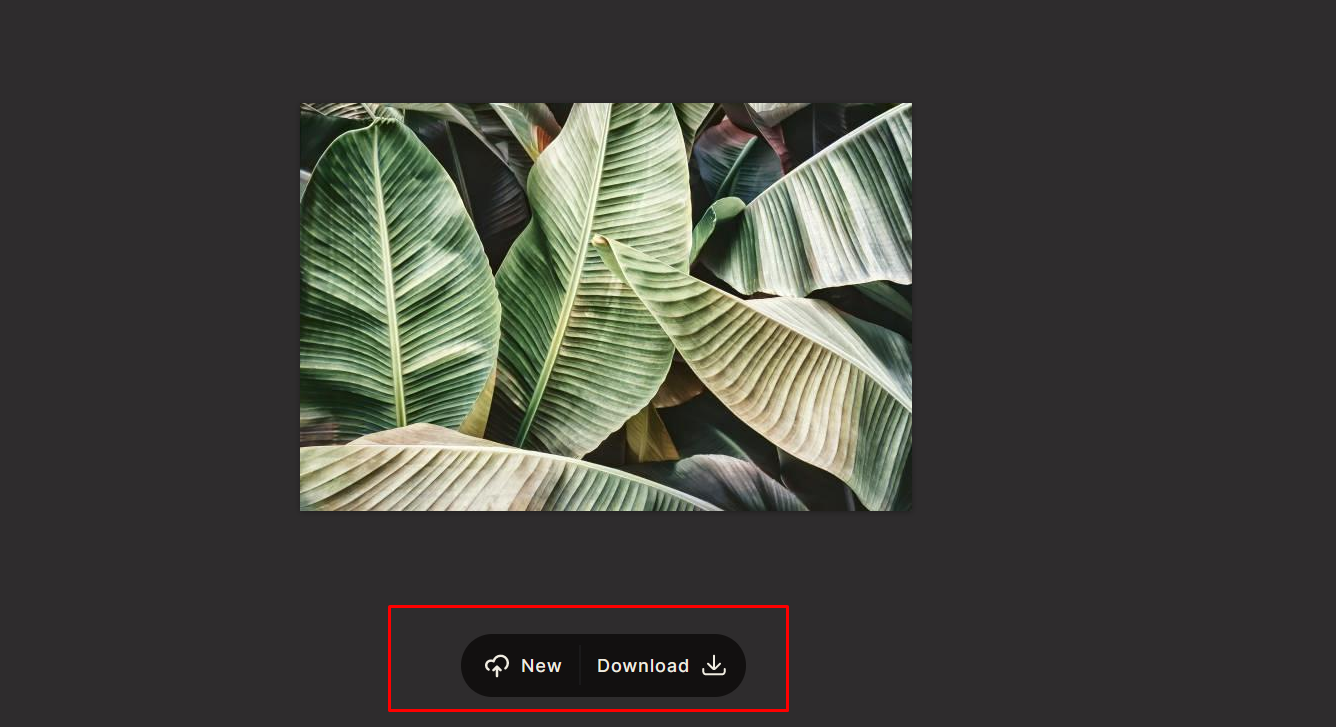 রঙ্গিন ছবি ডাউলোড