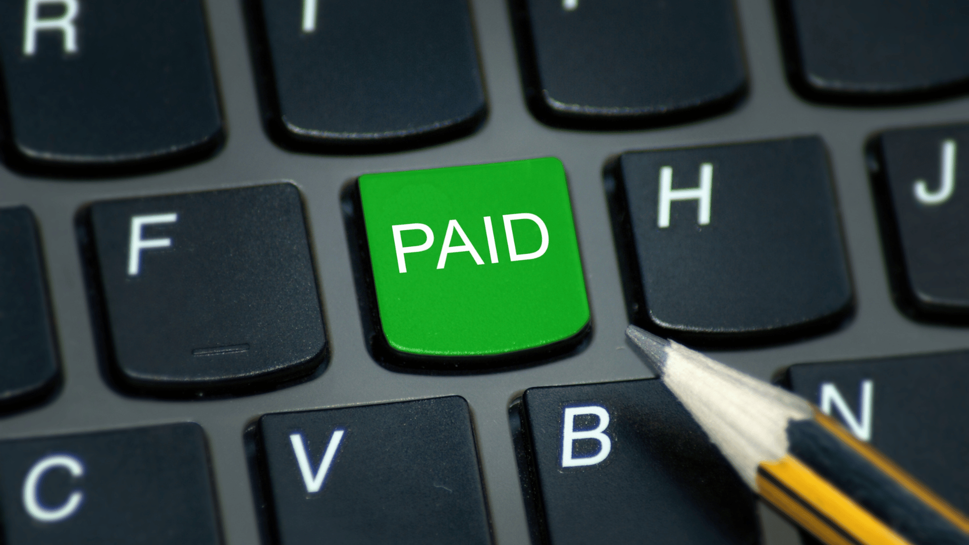 পেইড Face Search এড়িয়ে চলা 