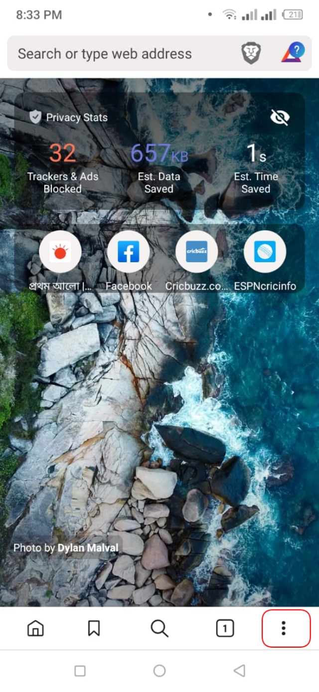 Brave browser tree dot icon in homepage