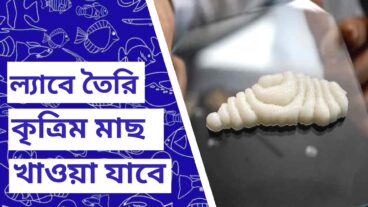 ল্যাবে তৈরি কৃত্রিম মাছ খাওয়া যাবে