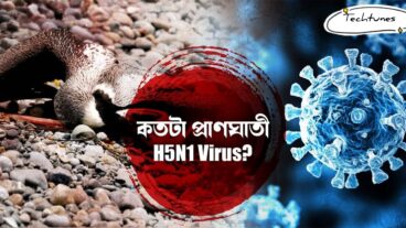 H5N1 Virus: 5 কোটিরও বেশি মৃত্যু এই ভাইরাসে, ভবিষ্যৎ নিয়ে কী বলছে WHO?