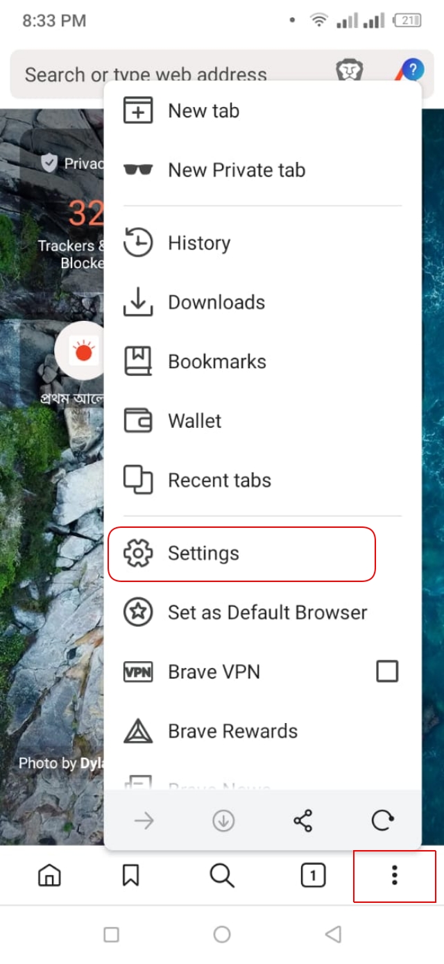Brave browser settings