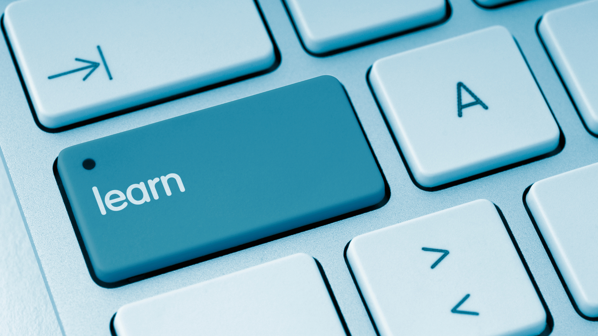 চেইন টিউনটিতে আপনি যা যা শিখতে পারবেন