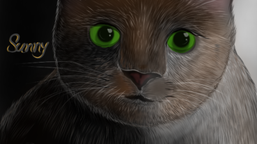 একটি হুলো বিড়ালের ডিজিটাল আর্ট