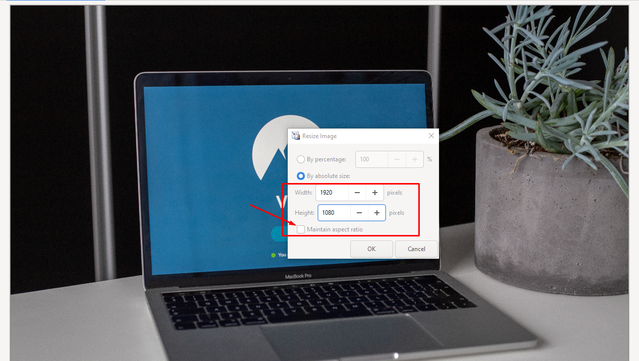 ইমেজ রিসাইজ