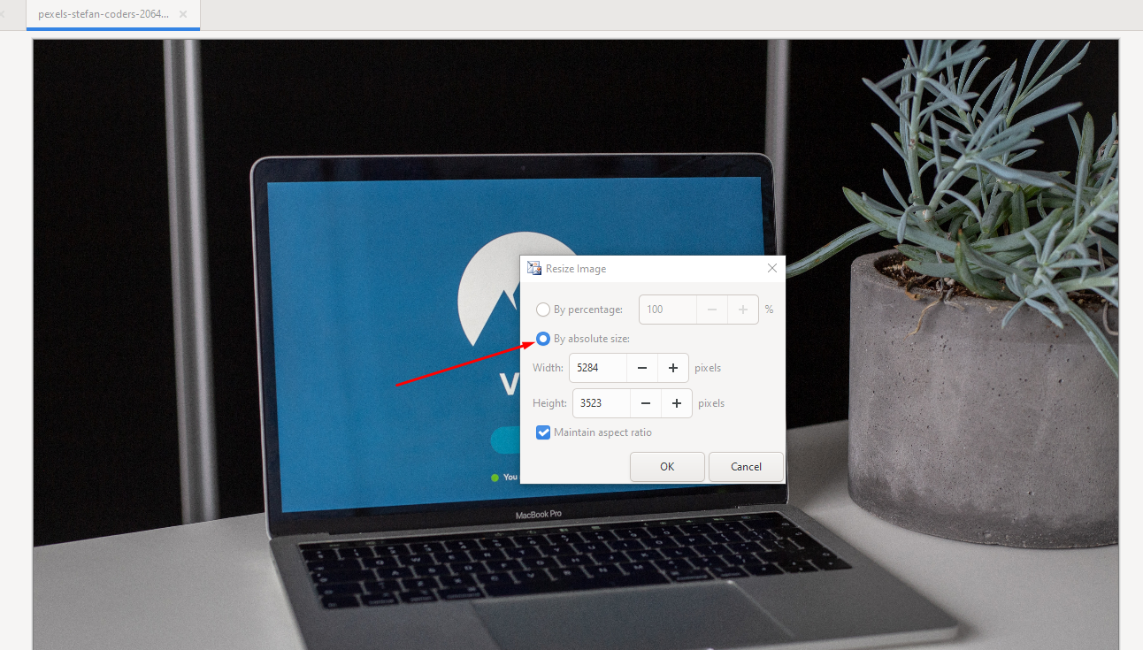 Pinta এর ইমেজ রিসাইজ অপশন