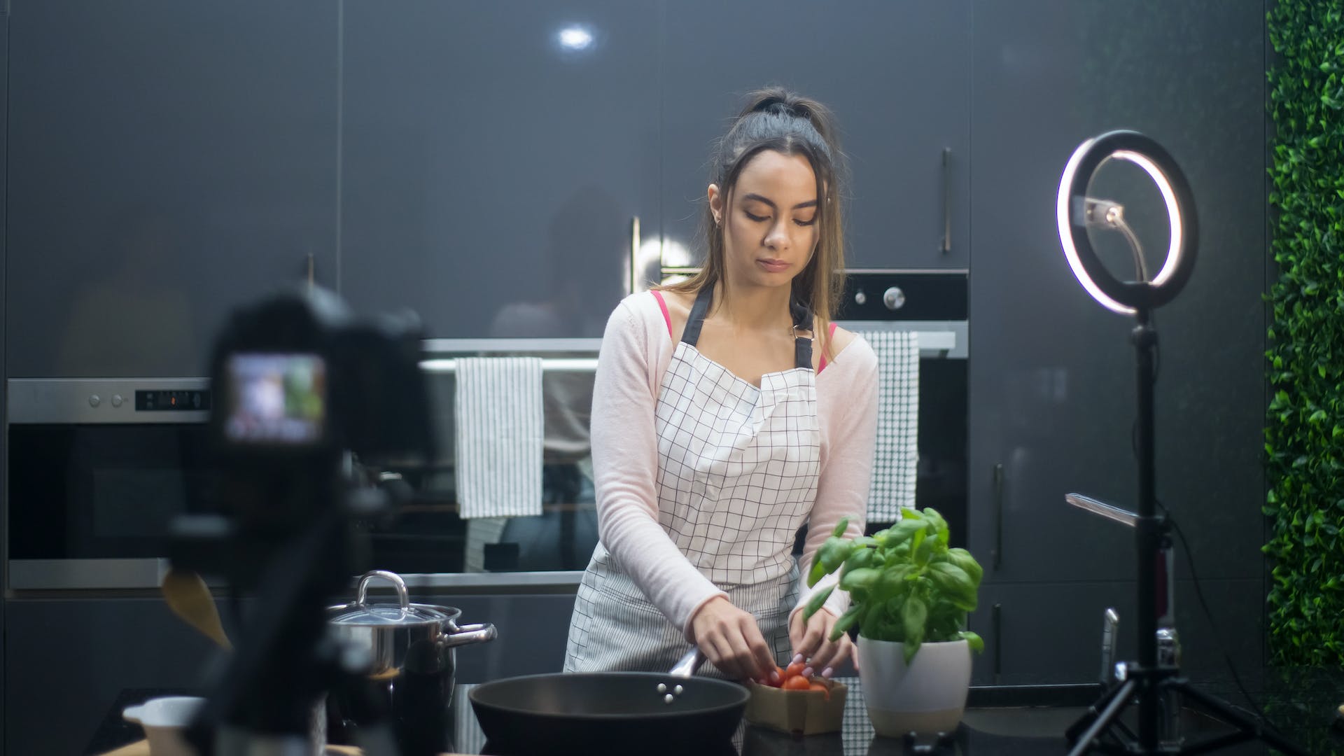 অনলাইনে হোম মেড ফুড বিজনেস 