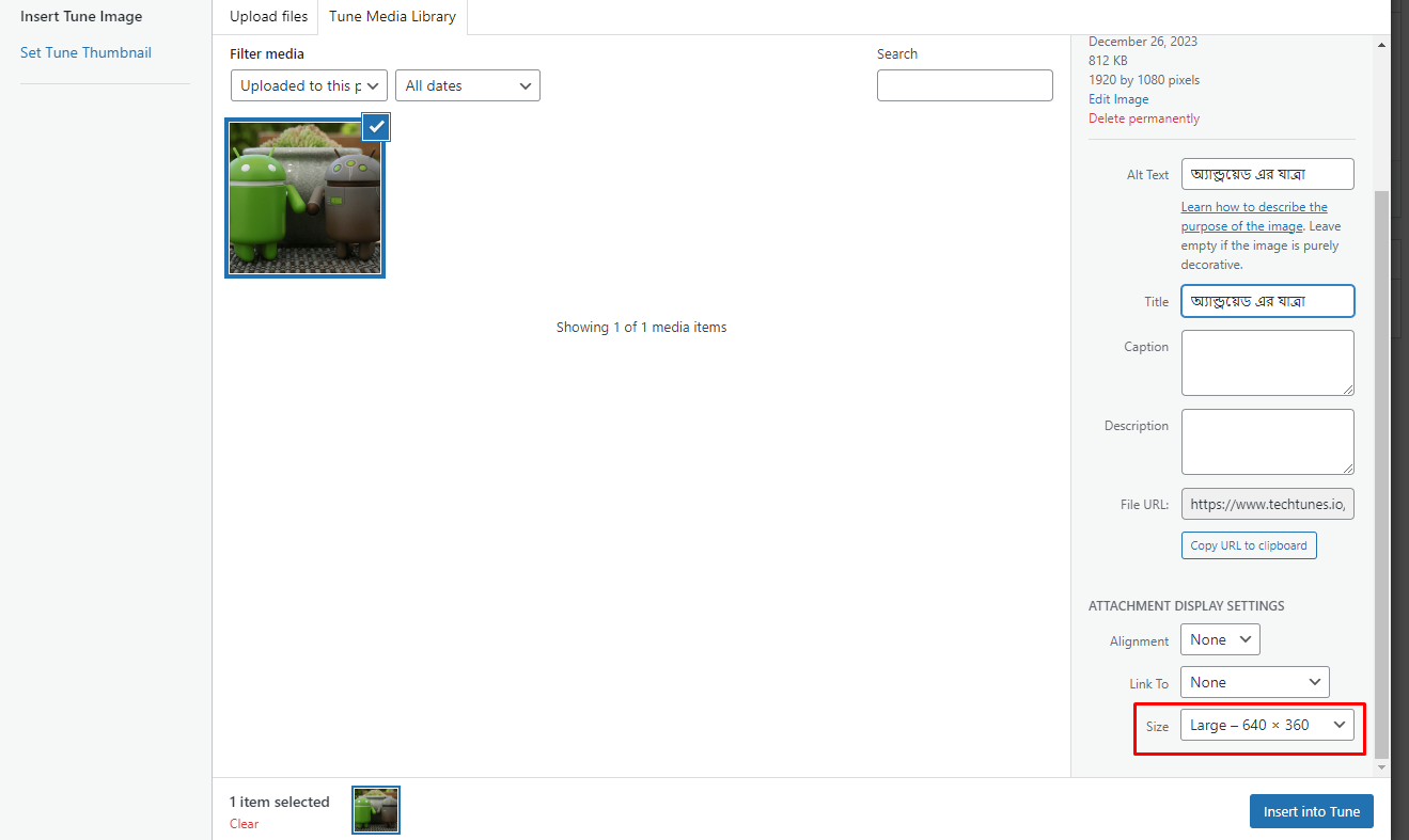 স্টক ইমেজ Large সাইজ থেকে Full Size হিসেবে সিলেক্ট