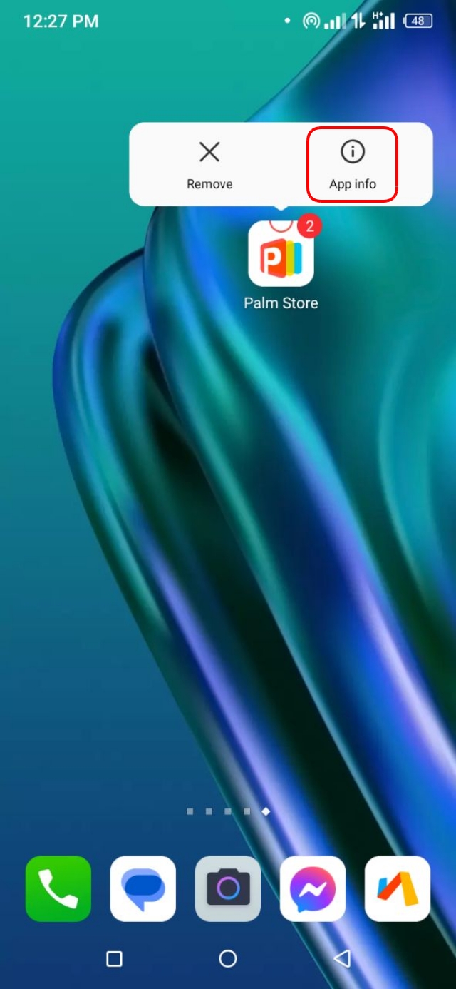 App Info অপশন