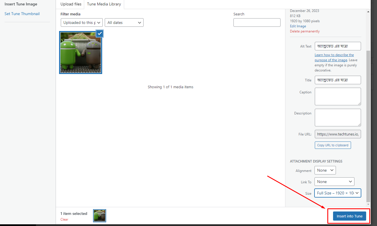 ইমেইজ Full Size হিসেবে সিলেক্ট করে টিউনে আপলোড