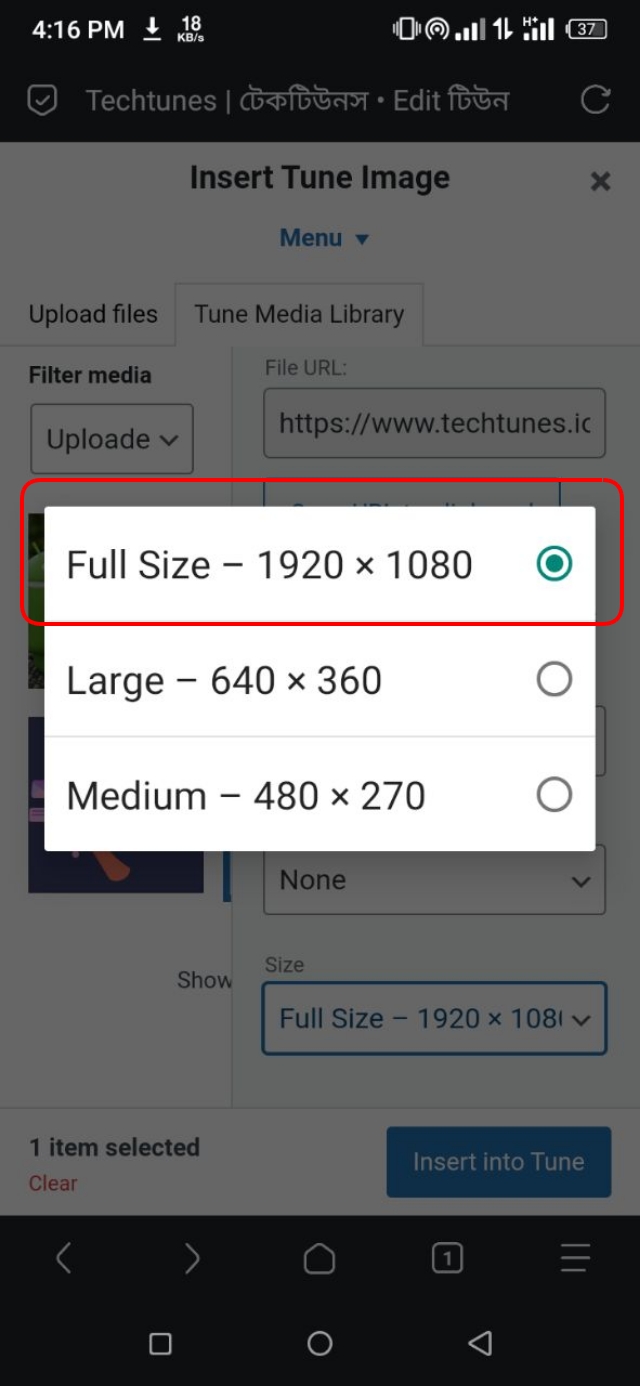 Full Size অপশন সিলেক্ট