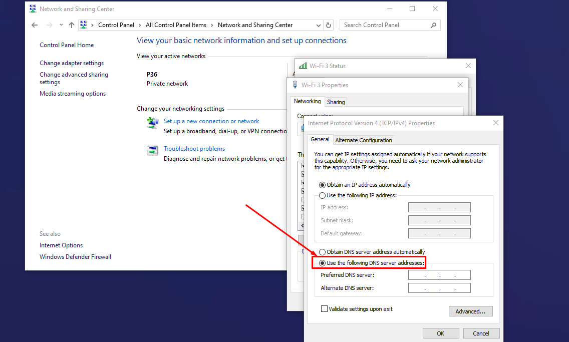 Use the following DNS server addresses অপশন