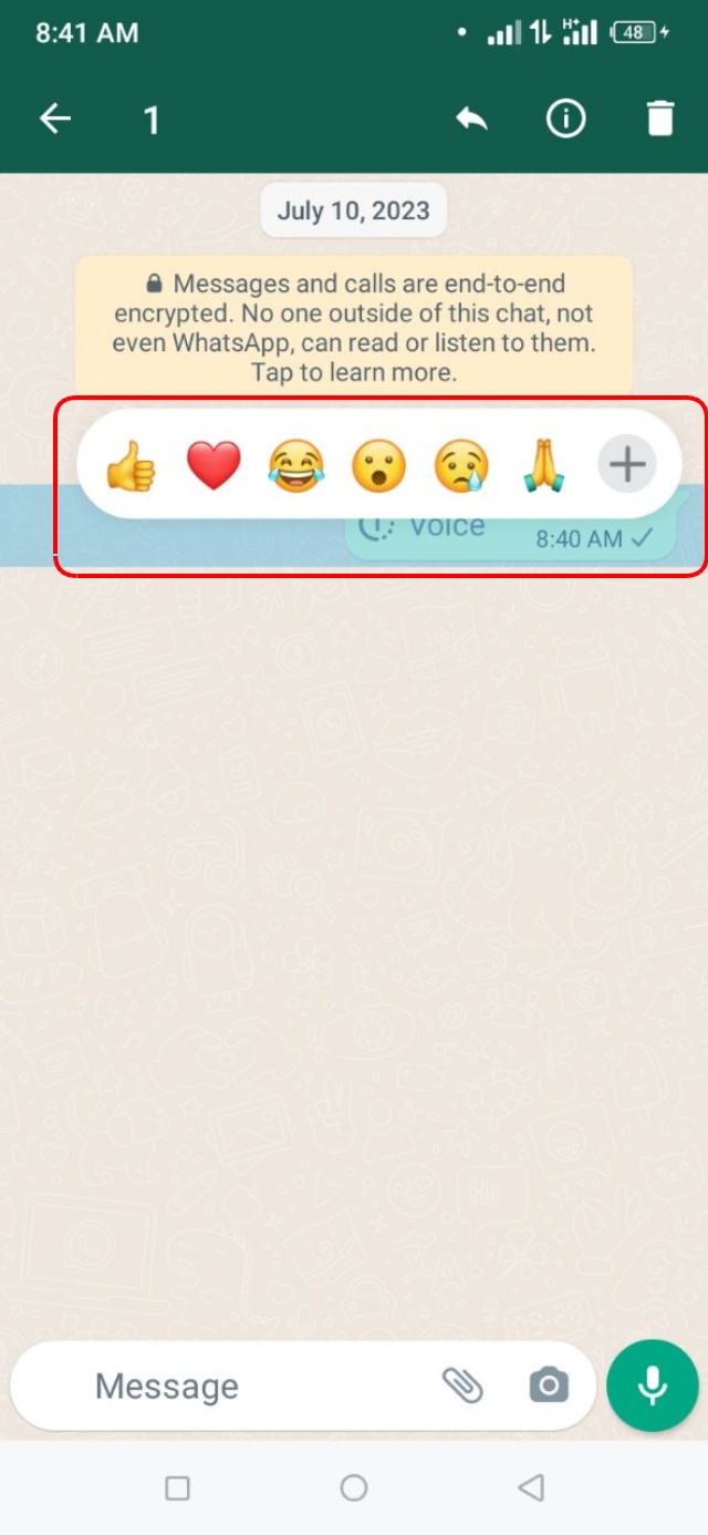 হোয়াটসঅ্যাপে Self-Destructing পাঠানোর পর অবস্থা