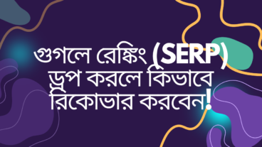 গুগলে রেঙ্কিং SERP ড্রপ করলে কিভাবে রিকোভার করবেন!
