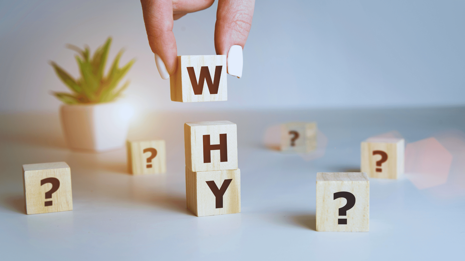 আপনার কেন Swift Backup ব্যবহার করা উচিত?