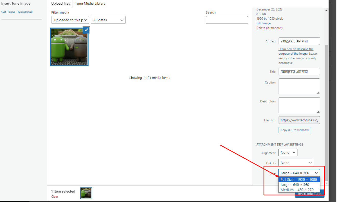 ইমেইজ Full Size হিসেবে সিলেক্ট
