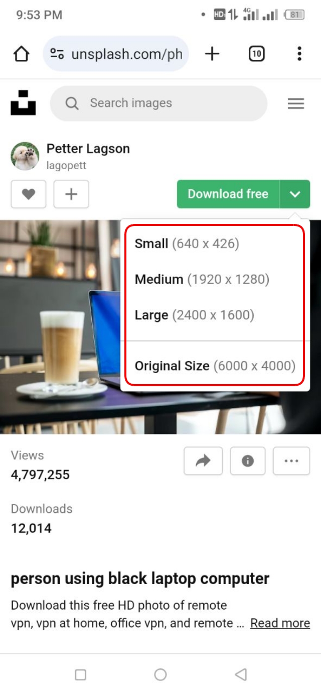 Large বা Orginal অপশনে ক্লিক করে যে কোন একটি রেজুলেশন এর ইমেজ ডাউনলোড