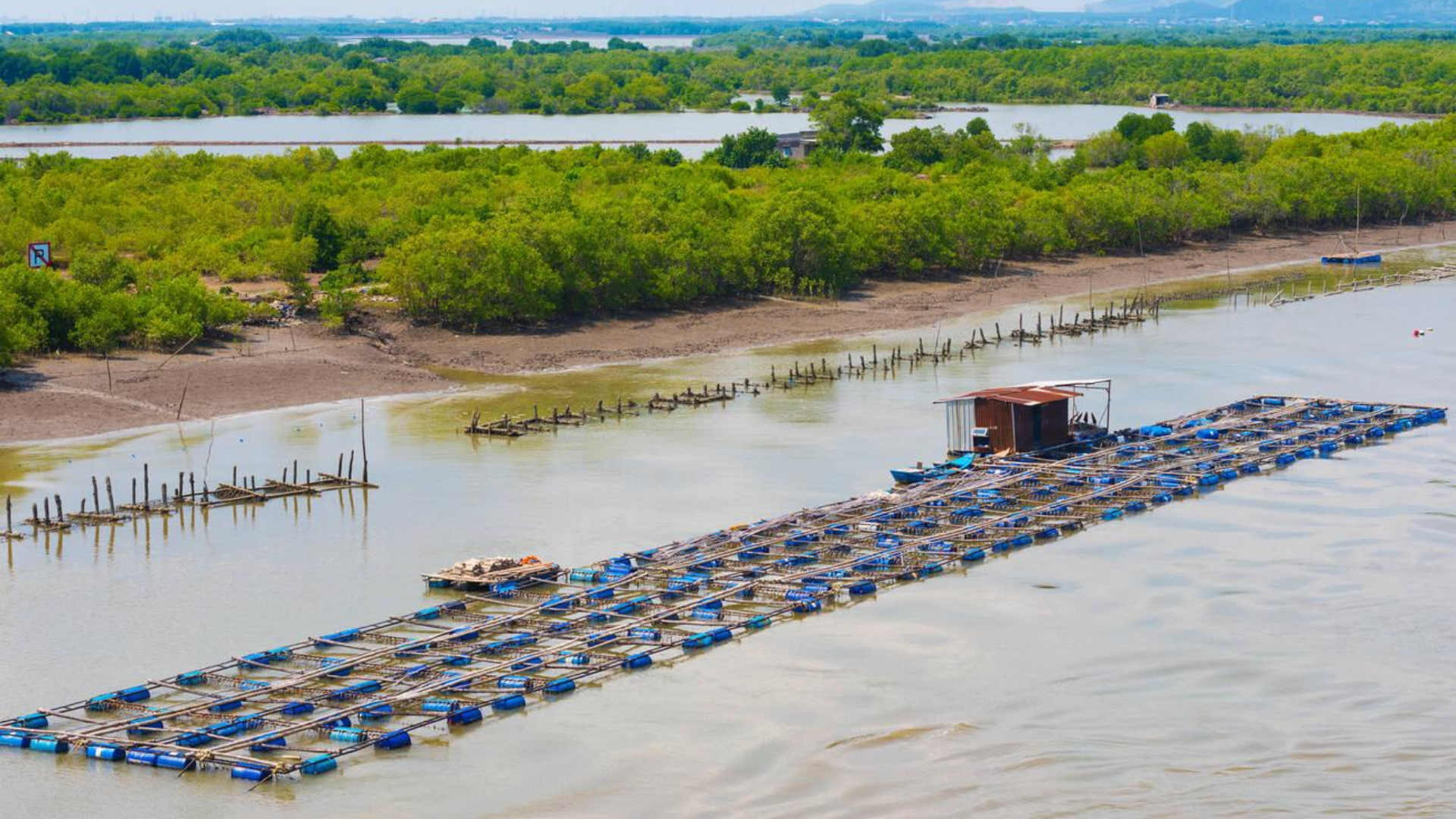 বর্তমানে সবচেয়ে লাভজনক ব্যবসা আইডিয়া