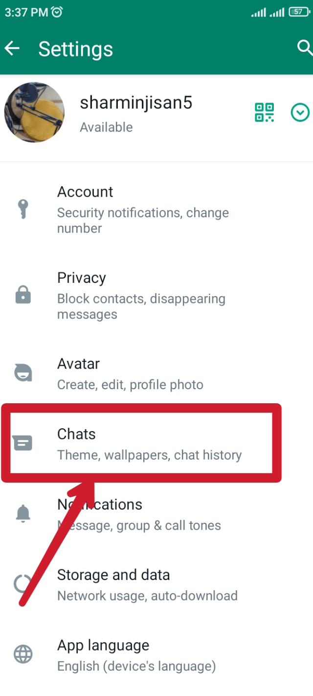 Chats অপশনে ক্লিক