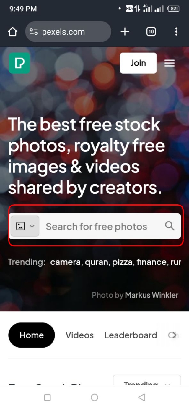 Pexels ওয়েবসাইট এর সার্চ বক্স