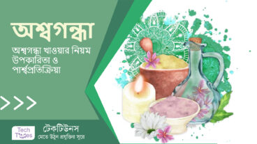 অশ্বগন্ধা কি? অশ্বগন্ধা খাওয়ার নিয়ম, উপকারিতা ও পার্শ্বপ্রতিক্রিয়া