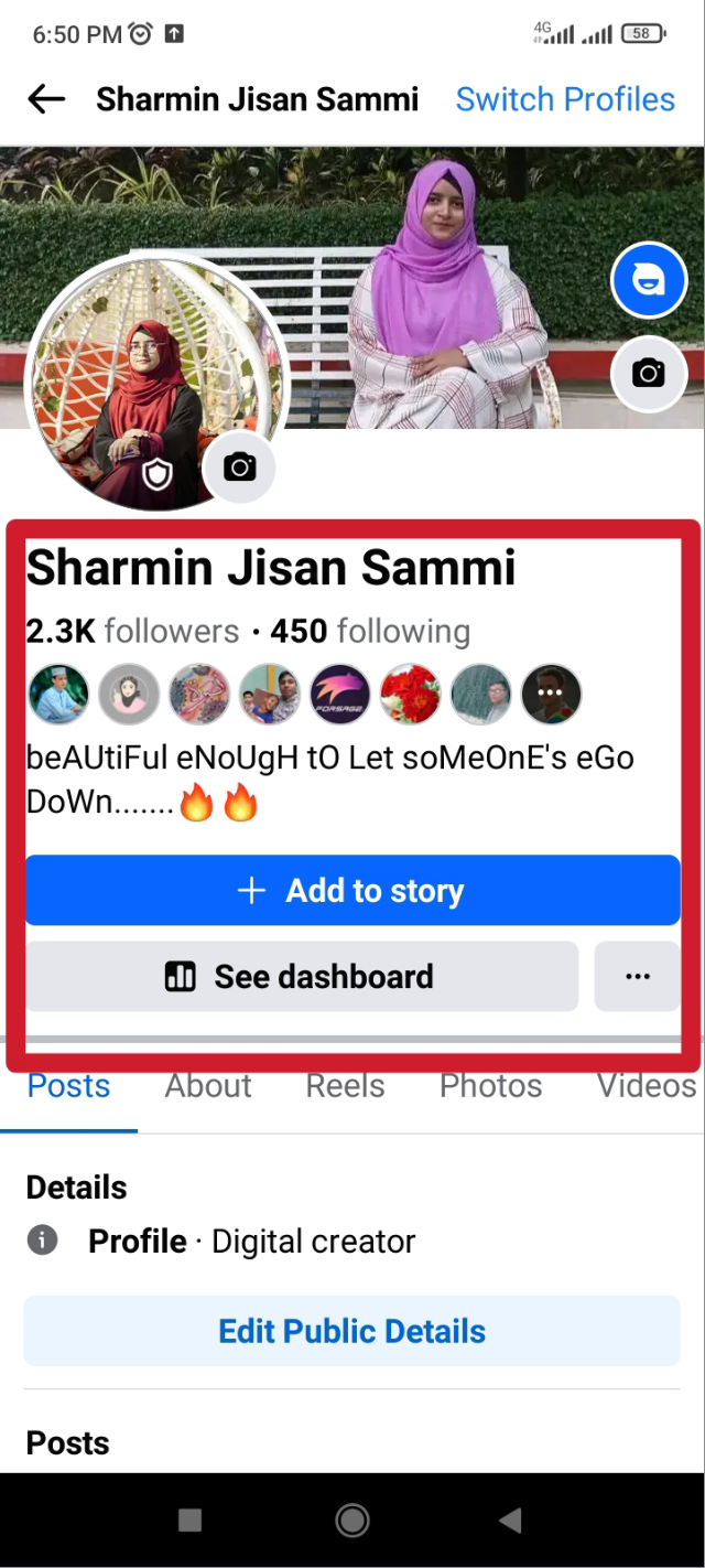 প্রফেশনাল মোড চালু হয়েছে