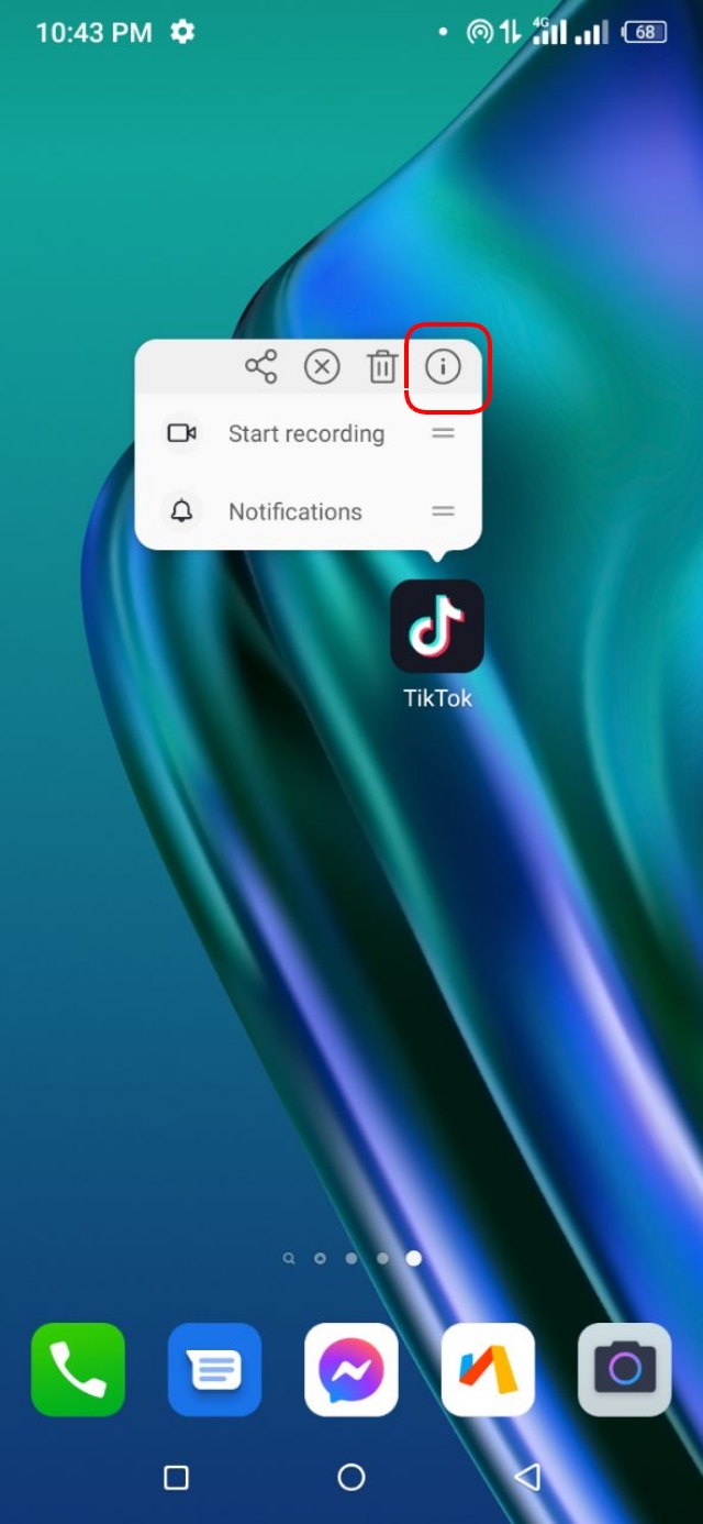 টিকটক এর App Info অপশনে যান
