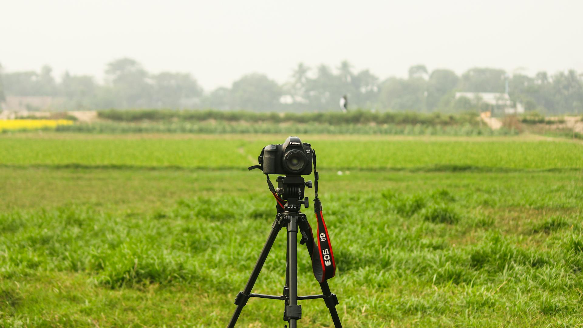 ক্যামেরা ট্রাইপড ব্যবহার করুন