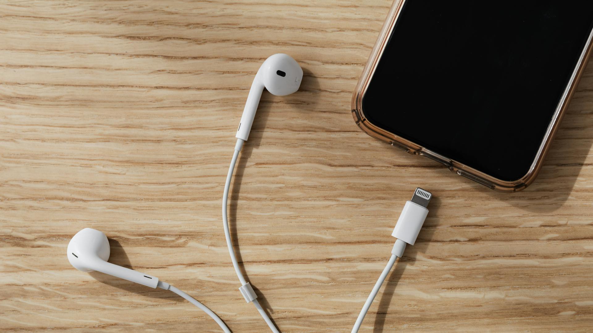 স্পিকার এবং সবগুলো পোর্ট চেক করুন