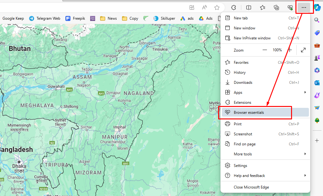 Edge Browser Essentials সেটিংস অপশন