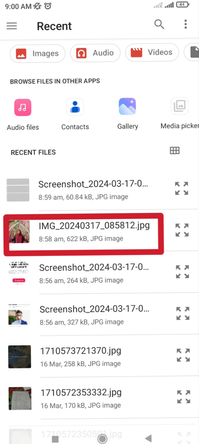 পাসপোর্ট ফটো তৈরির টিউটোরিয়াল