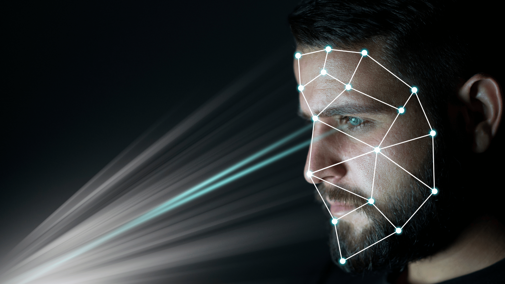 ইমেইজ Recognition এবং Classification