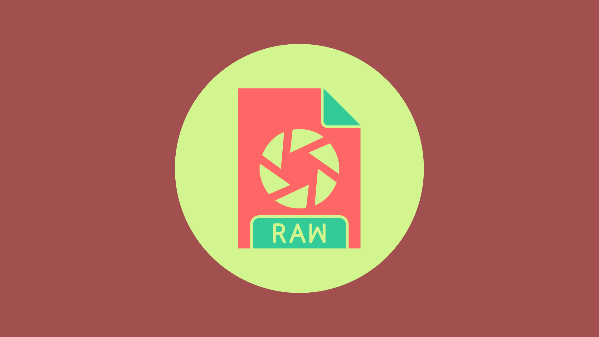 RAW ফরম্যাটে শুটিং অপশন