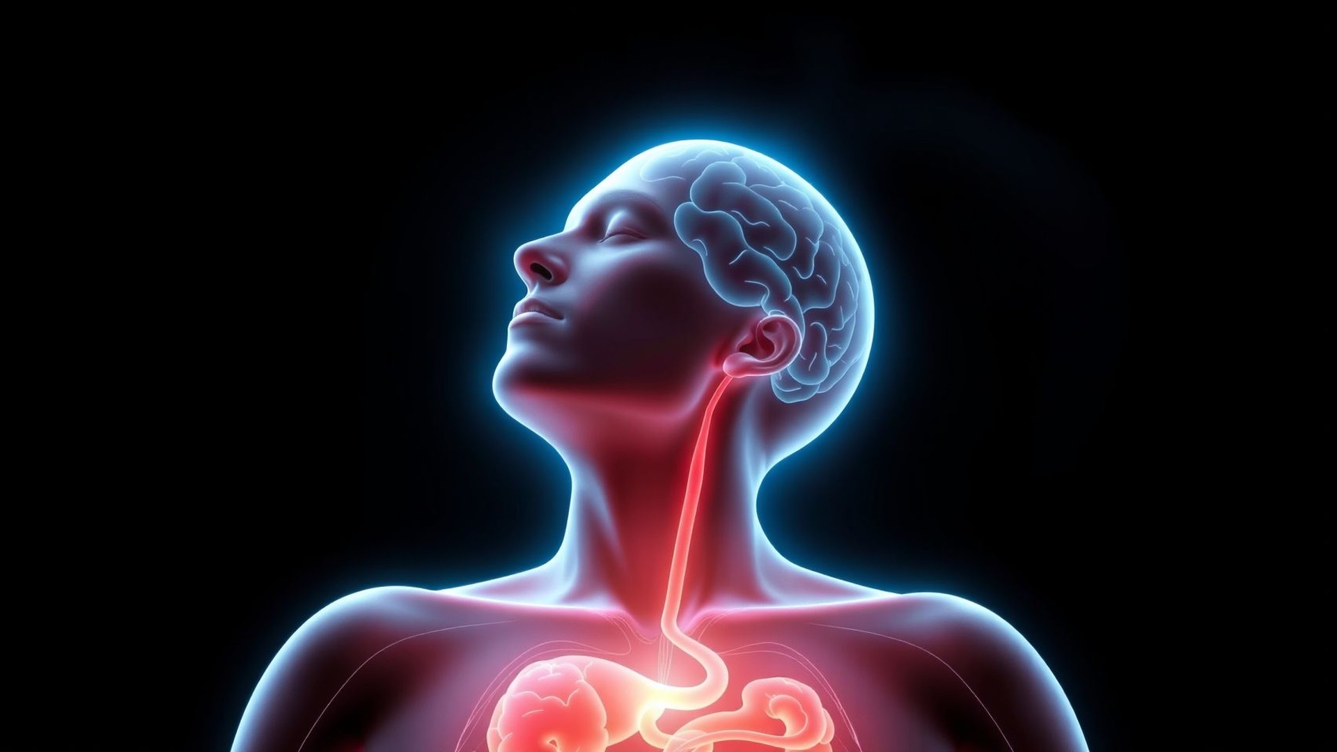Vagus Nerve - Social Media-র ট্রেন্ড? নাকি শরীরের আসল বন্ধু?