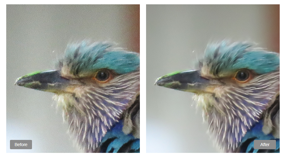 Neat Image - পুরোনো, ঝাপসা ছবির নয়েজ দূর করে ঝকঝকে করে নতুন জীবন দিন!