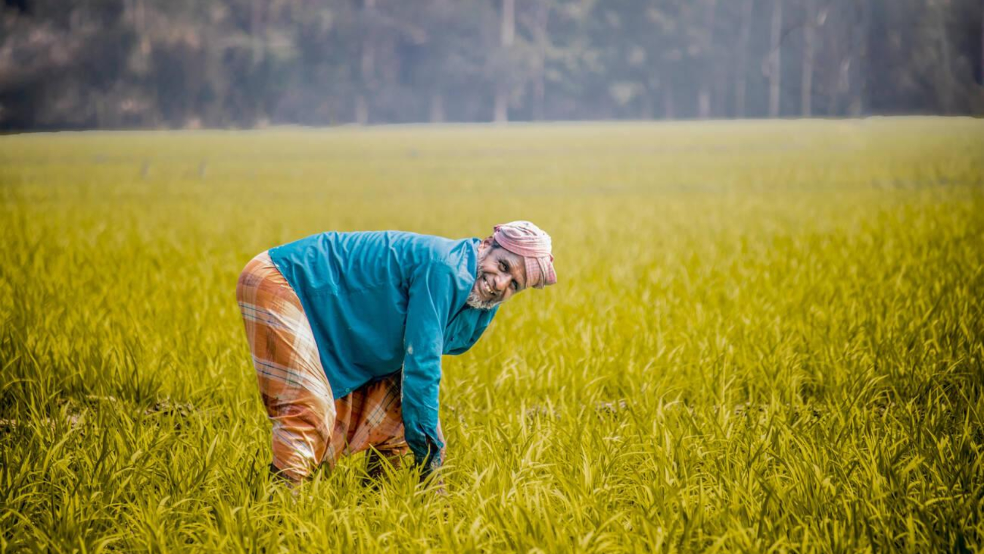 গ্রামের জন্য ব্যবসার আইডিয়া