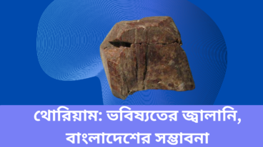 থোরিয়াম: ভবিষ্যতের জ্বালানি, বাংলাদেশের সম্ভাবনা
