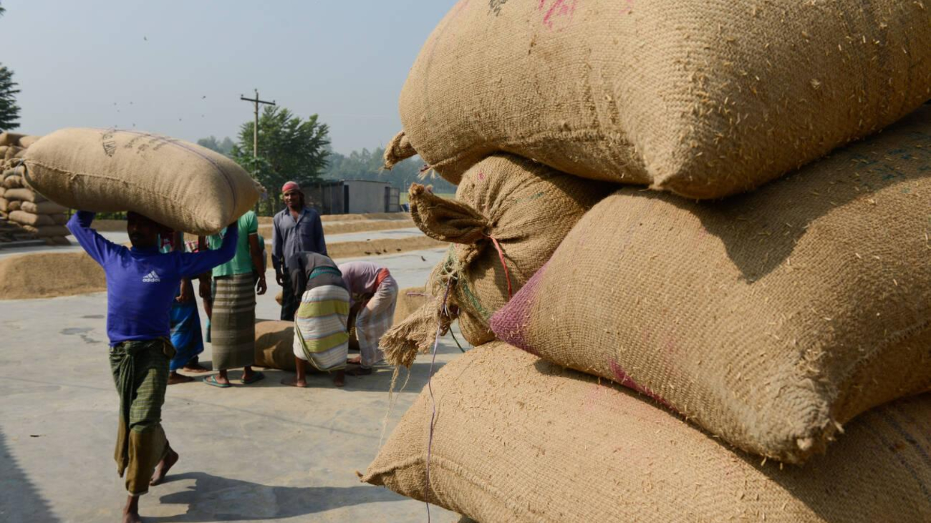 গ্রামের জন্য ব্যবসার আইডিয়া