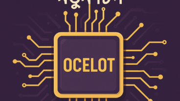 কোয়ান্টাম কম্পিউটিংয়ে নতুন চিপ ” OCELOT”