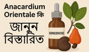 Anacardium Orientale – অ্যানাকার্ডিয়াম ওরিয়েন্টাল কি?