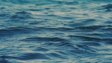 সমুদ্রবিজ্ঞান: গভীর নীলের রহস্য উন্মোচন